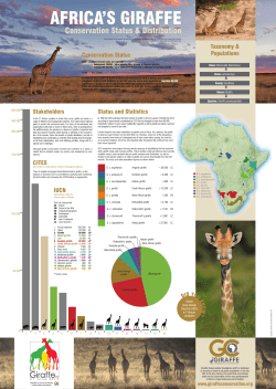 `Africa`s Giraffe - Conservation Status and