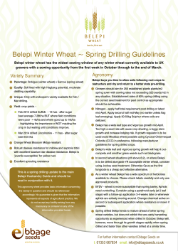 spring drilling guide
