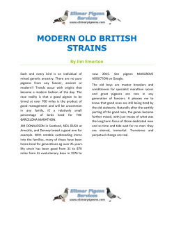 Modern Old British Strains by Jim Emerton