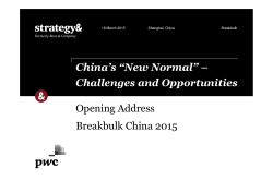 China`s Economic Outlook for 2015