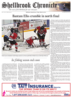 Bantam Elks crumble in north final