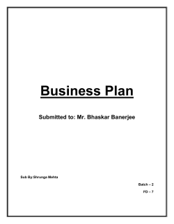Business Plan - Shrunga Mehta