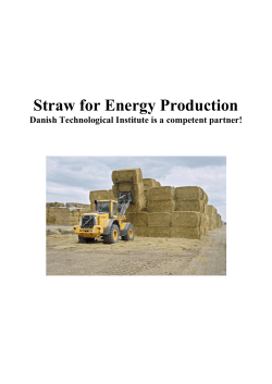 Straw for Energy Production