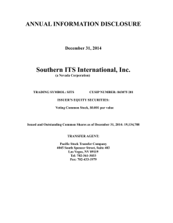 southern its international, inc.