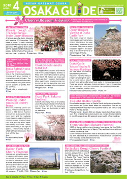 Cherry Blossom Viewing in Osaka Spring is on its way!!