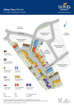 development plan(s).