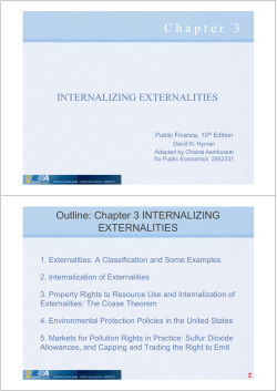 CHAPTER 3 Internalizing Externalities