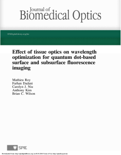 Effect of tissue optics on wavelength optimization for quantum dot