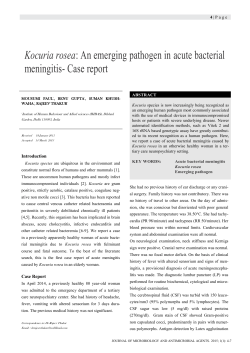 Kocuria rosea: An emerging pathogen in acute bacterial meningitis