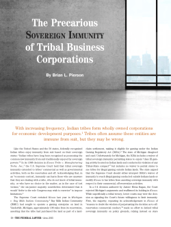 The Precarious Sovereign Immunity of Tribal Business Corporations