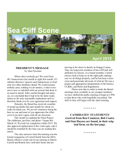 Sea Cliff Scene