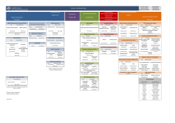 Organisation chart