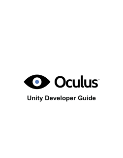 Unity Developer Guide