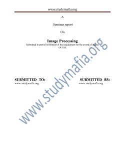 Image Processing pdf Report Free