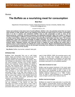 The Buffalo as a nourishing meat for consumption