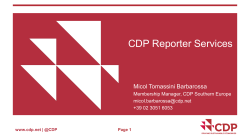 CDP Reporter Services