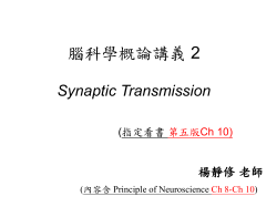 腦科學概論講義2
