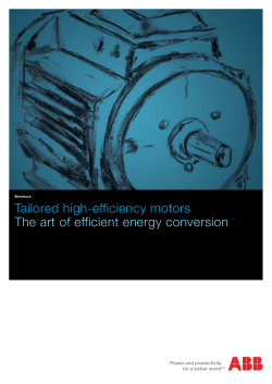 Tailored high-efficiency motors The art of efficient energy