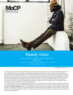 Dandy Lion: