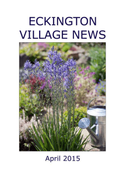 click here for eckington village news april 2015