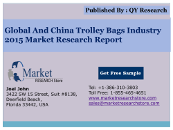 Global and China Trolley Bags Industry 2015 Market Outlook Production Trend Opportunity