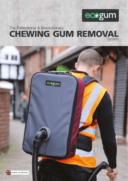 CHEWING GUM REMOVAL