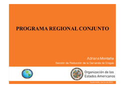 Programa Regional Conjunto