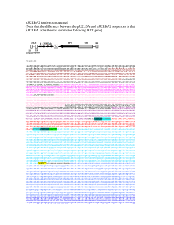 pJJ2LBA2 (activation tagging)