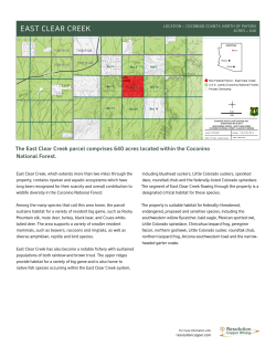 East Clear Creek Parcel Facts