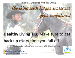 Working with horses increases your confidence! Healthy Living Tip