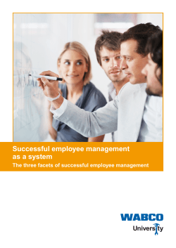 Successful employee management as a system