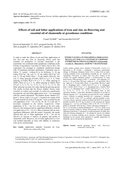 Effects of soil and foliar applications of iron and zinc on flowering