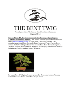 THE BENT TWIG - American Bonsai Association Sacramento