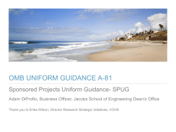 Uniform Guidance Training