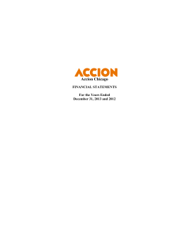 2013 Accion Chicago Audit