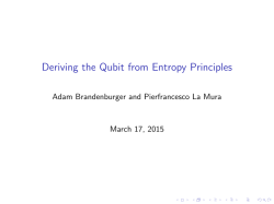 Deriving the Qubit from Entropy Principles