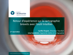 La prÃ©sentation au format PDF de Cyrille Chapon et Line
