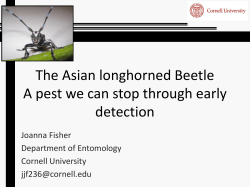 Asian Longhorned Beetle Presentation