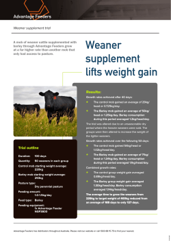 Weaner supplement lifts weight gain