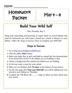 Homework Packet Build Your Wild Self