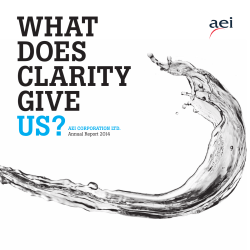 US?AEI CORPORATION LTD. Annual Report 2014