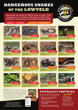 DANGEROUS SNAKES - African Snake Bite Institute