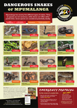 dangerous snakes of mpumalanga