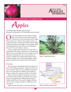 Apples - Aggie Horticulture