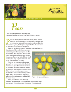 Pears - Aggie Horticulture