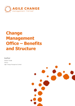 CMO White Paper Change Management Office