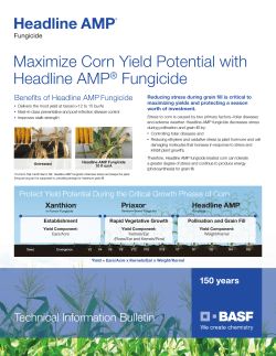 Maximize Corn Yield Potential with Headline AMP