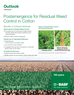 Postemergence for Residual Weed Control in Cotton