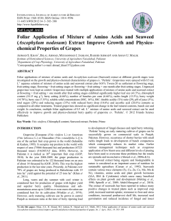 Foliar Application of Mixture of Amino Acids and Seaweed
