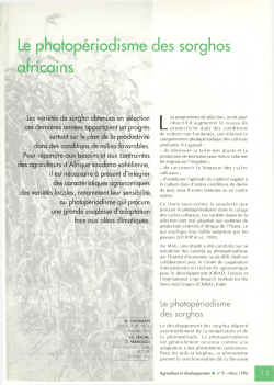 Le photopÃ©riodisme des sorghos africains - Agritrop